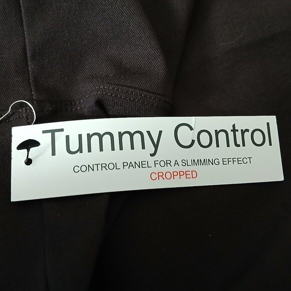 NWT Jones New York Pants 1X Brown Pull On Ponte Leggings Tummy Control Crop - Picture 7 of 8